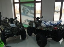 Arctic Cat XR 500
