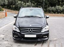 Mercedes Viano
