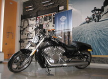 Harley-Davidson V Rod Muscle