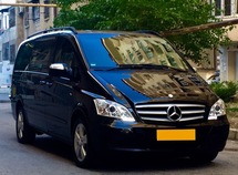 Mercedes Viano