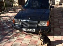 Mercedes E 300