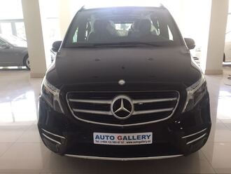 Mercedes Viano