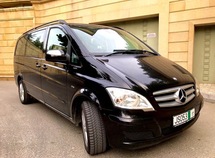 Mercedes Viano