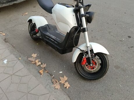 Harley-Davidson  2020