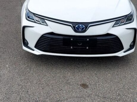 Toyota Corolla 2023
