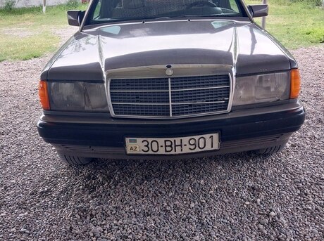 Mercedes 190 1991