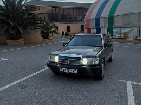 Mercedes 190 1991