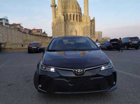 Toyota Corolla 2019