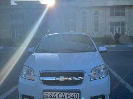 Chevrolet Aveo 2011