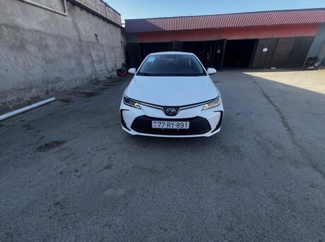 Toyota Corolla 2024