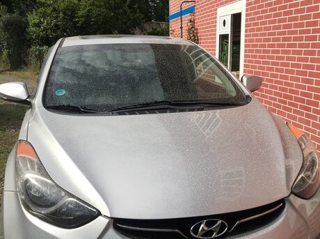 Hyundai Elantra 2013