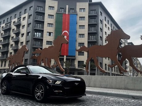 Ford Mustang 2015