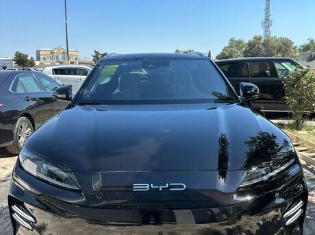 BYD  2024