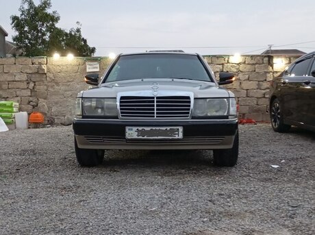 Mercedes 190 1991