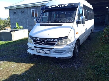 Mercedes Sprinter 313 2001