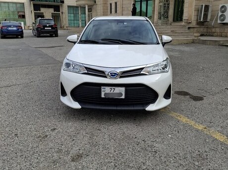 Toyota Corolla Fielder 2019