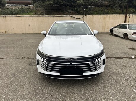BYD Destroyer 05 2024