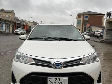 Toyota Corolla Fielder 2019