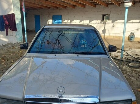 Mercedes 190 1991