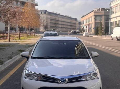 Toyota Corolla Fielder 2019