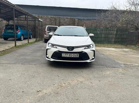Toyota Corolla 2024