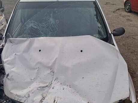 Renault Tondar 2013