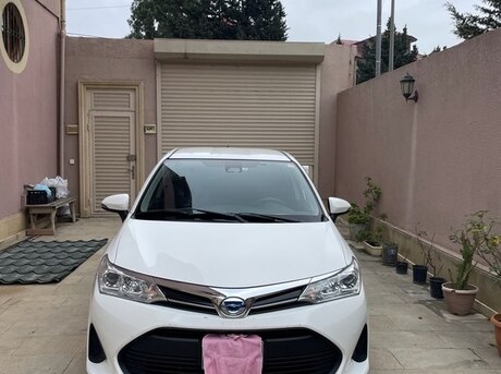 Toyota Corolla Fielder 2019