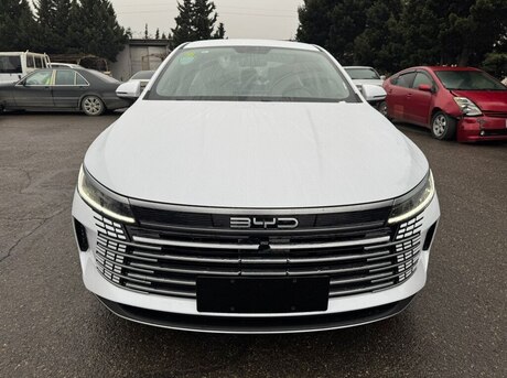 BYD Destroyer 05