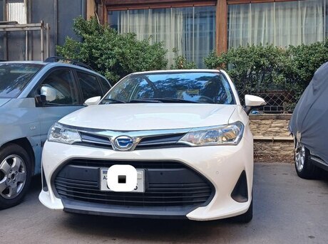 Toyota Corolla Fielder 2019