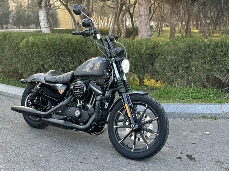 Harley-Davidson XL883N Sportster Iron 883 2021