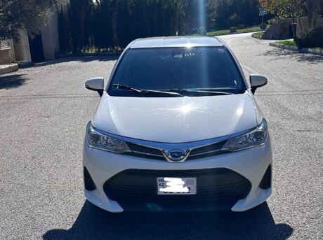 Toyota Corolla Fielder 2019