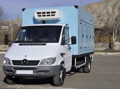 Mercedes Sprinter 313 2003