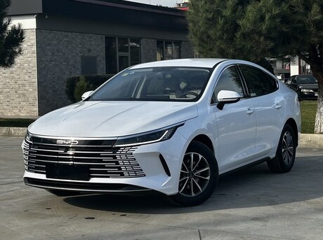BYD Destroyer 05