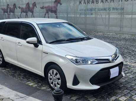Toyota Corolla Fielder