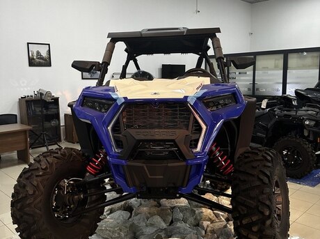 Polaris RZR S 1000