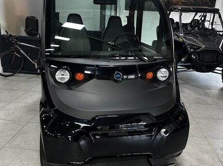 Polaris GEM e2
