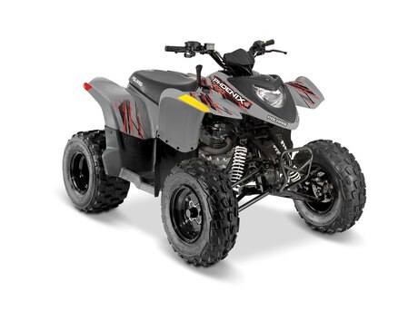 Polaris PHOENIX 200