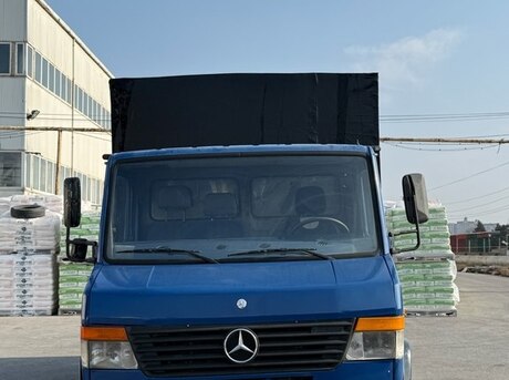 Mercedes Vario 1999