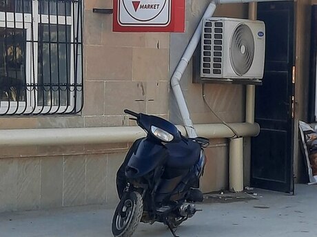 Mondial 100 Loyal 2022