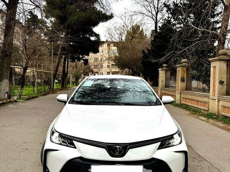 Toyota Corolla 2024