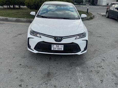 Toyota Corolla 2024