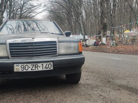 Mercedes 190 1990