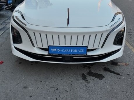 Hongqi  2024