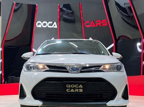 Toyota Corolla Fielder