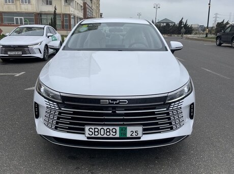 BYD Destroyer 05 2024