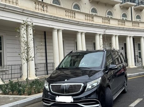 Mercedes Viano