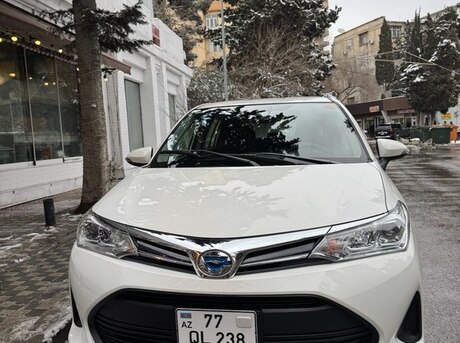Toyota Corolla Fielder 2019