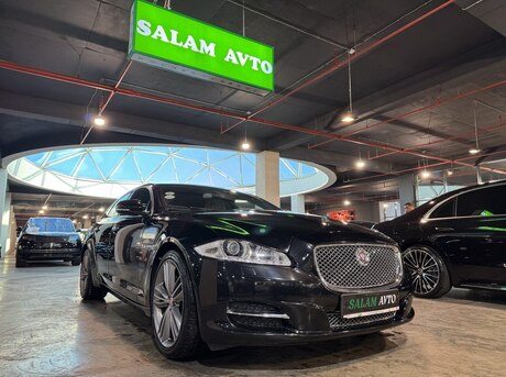 Jaguar  2014