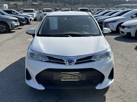 Toyota Corolla Fielder 2019