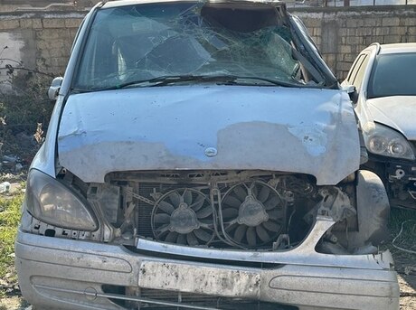 Mercedes Viano
